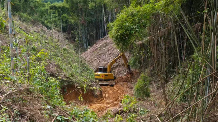 林间“藏龙”，竹海“卧虎”——凯发k8一触即发林业挖机广西侠客行