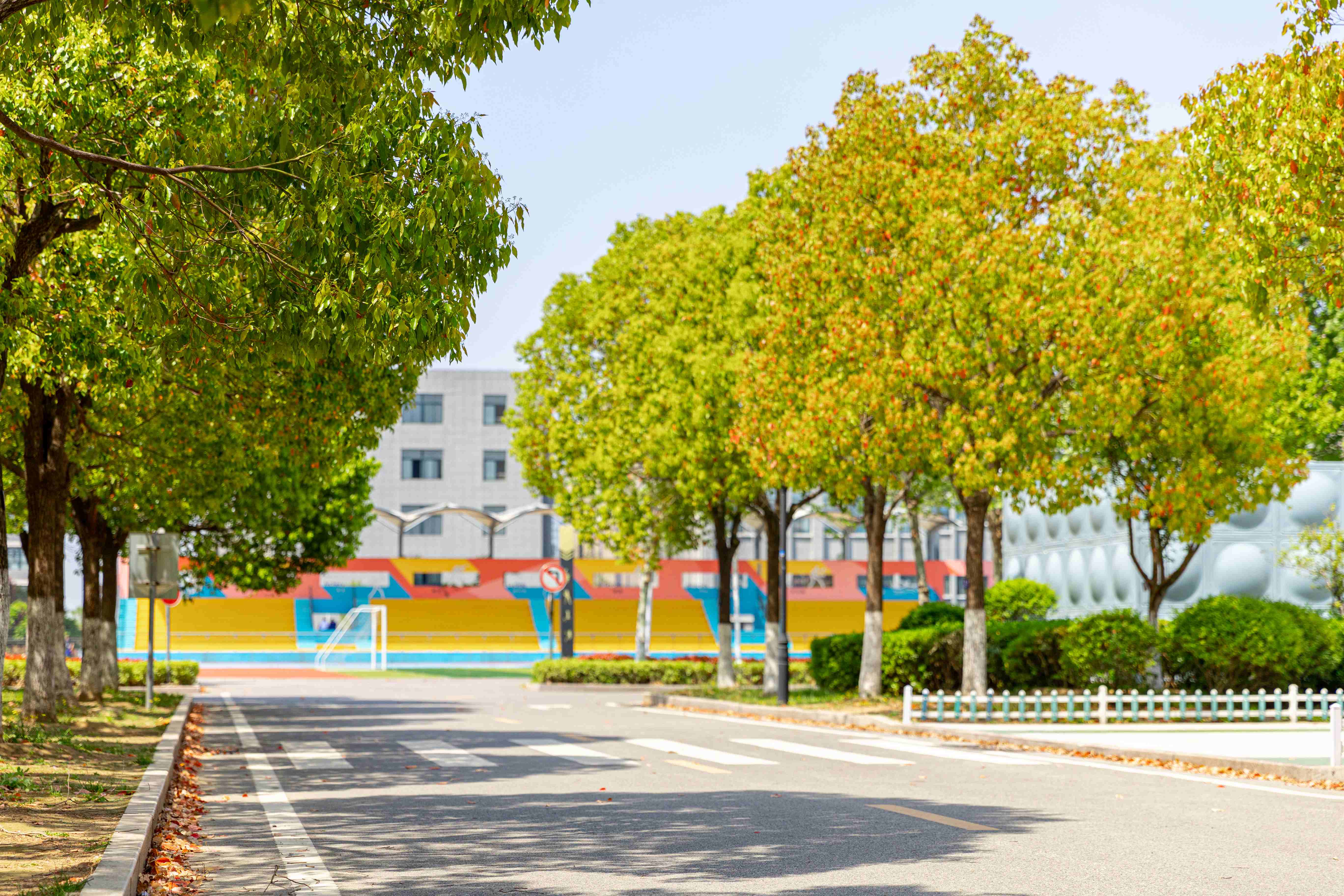 校园风光-校园小路1